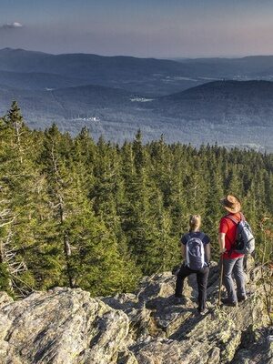 Zwei Wanderer genießen vom Falkenstein Gipfel die unvergleichliche Aussicht auf den grünen Bayerischen Wald.