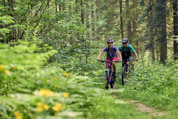 Die Radsportler meistern anspruchsvolles Gelände im Wald auf einem Mountainbike.