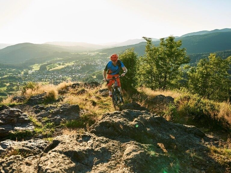 Eine Person fährt Mountainbike auf einem felsigen Pfad, ausgerüstet mit Fahrradhelm und passender Ausrüstung.