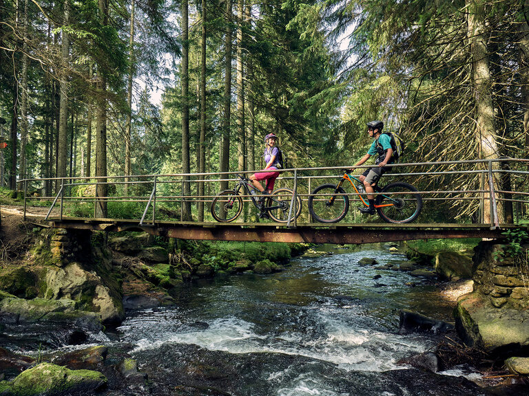 Personen fahren mit dem Mountainbike über eine Holzbrücke im Wald.